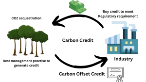 Trading Carbon Credits on Abu Dhabi’s ACX Exchange: A Starter Guide for SMEs Keen to Monetise Sustainability